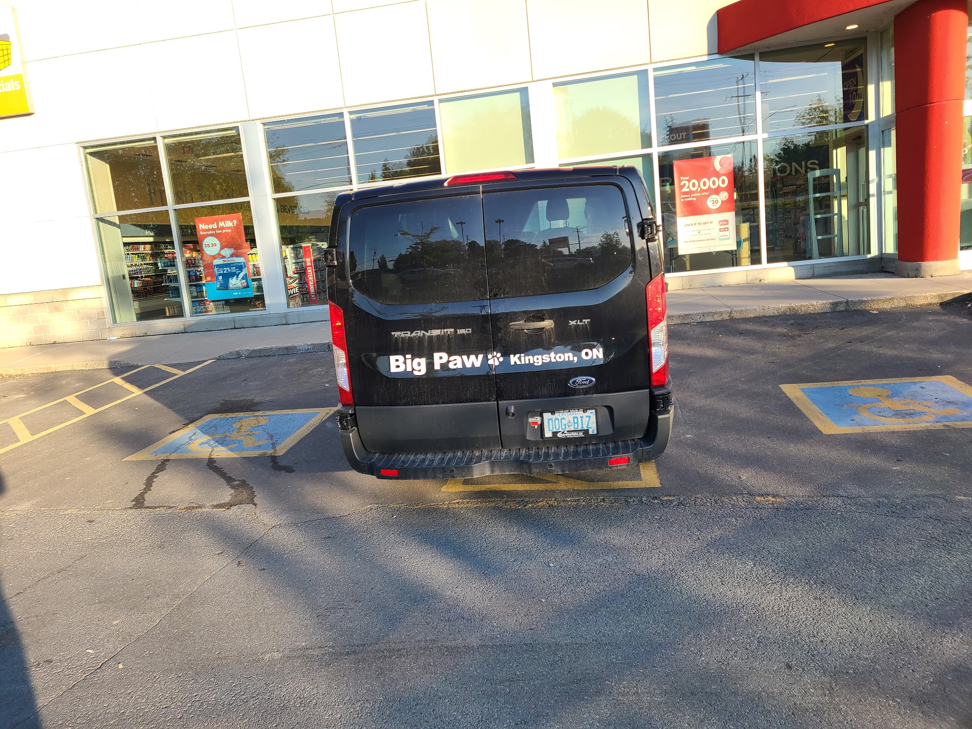 Big Paw Pet Food & Supplies Kingston