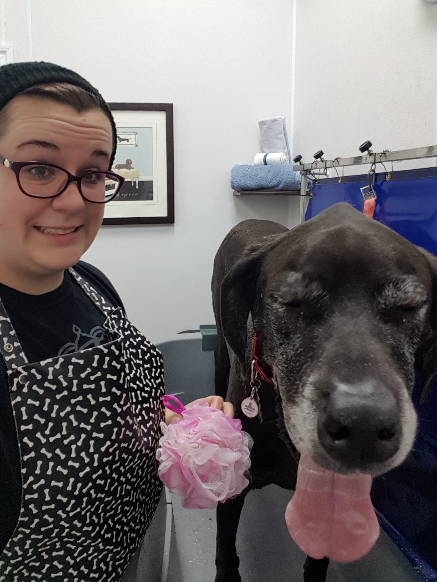 The Mutt Hutt Spaw & Pet Centre Inc Kingston