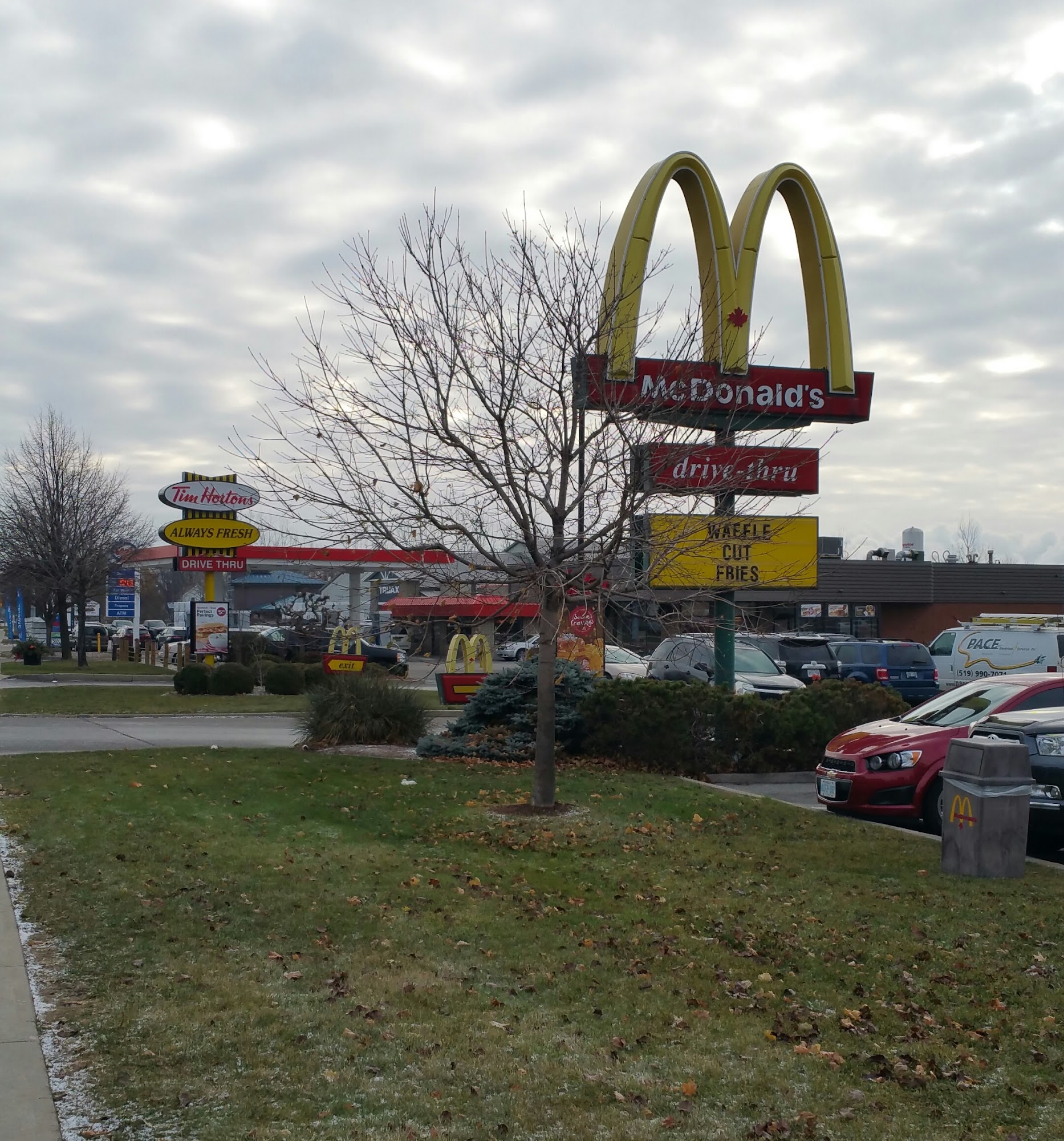 Tim Hortons