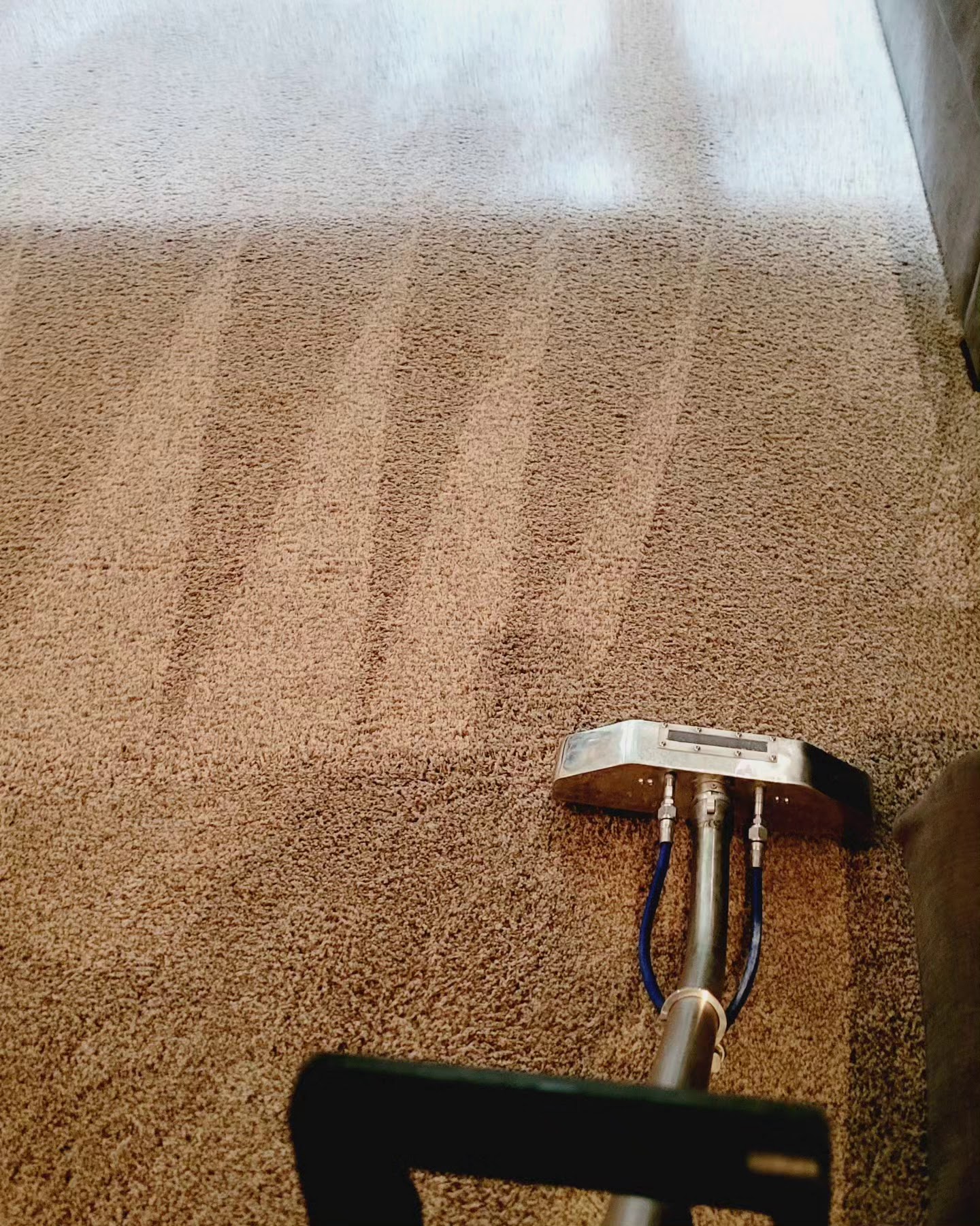 Carpet cleaning Exclusive Home Services