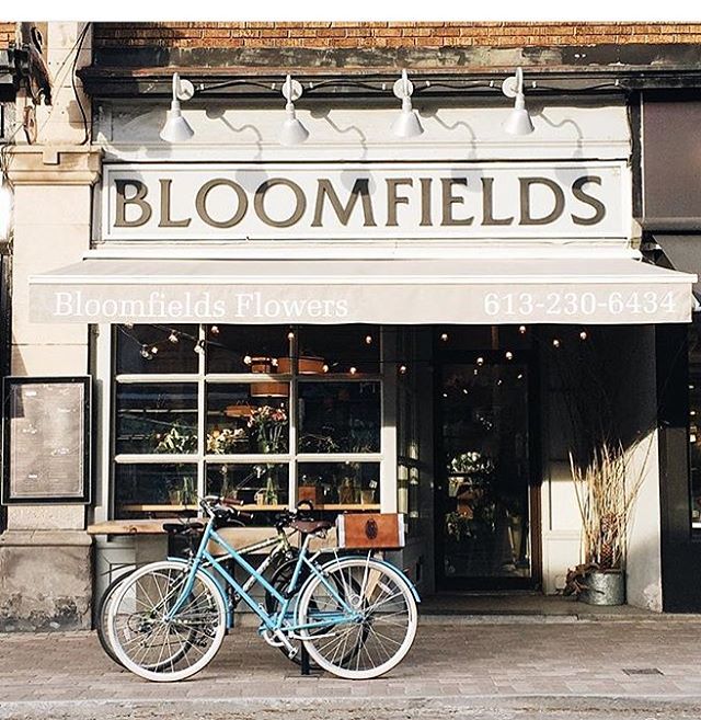 Bloomfields Flowers Glebe