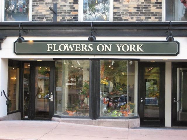 Flowers on York