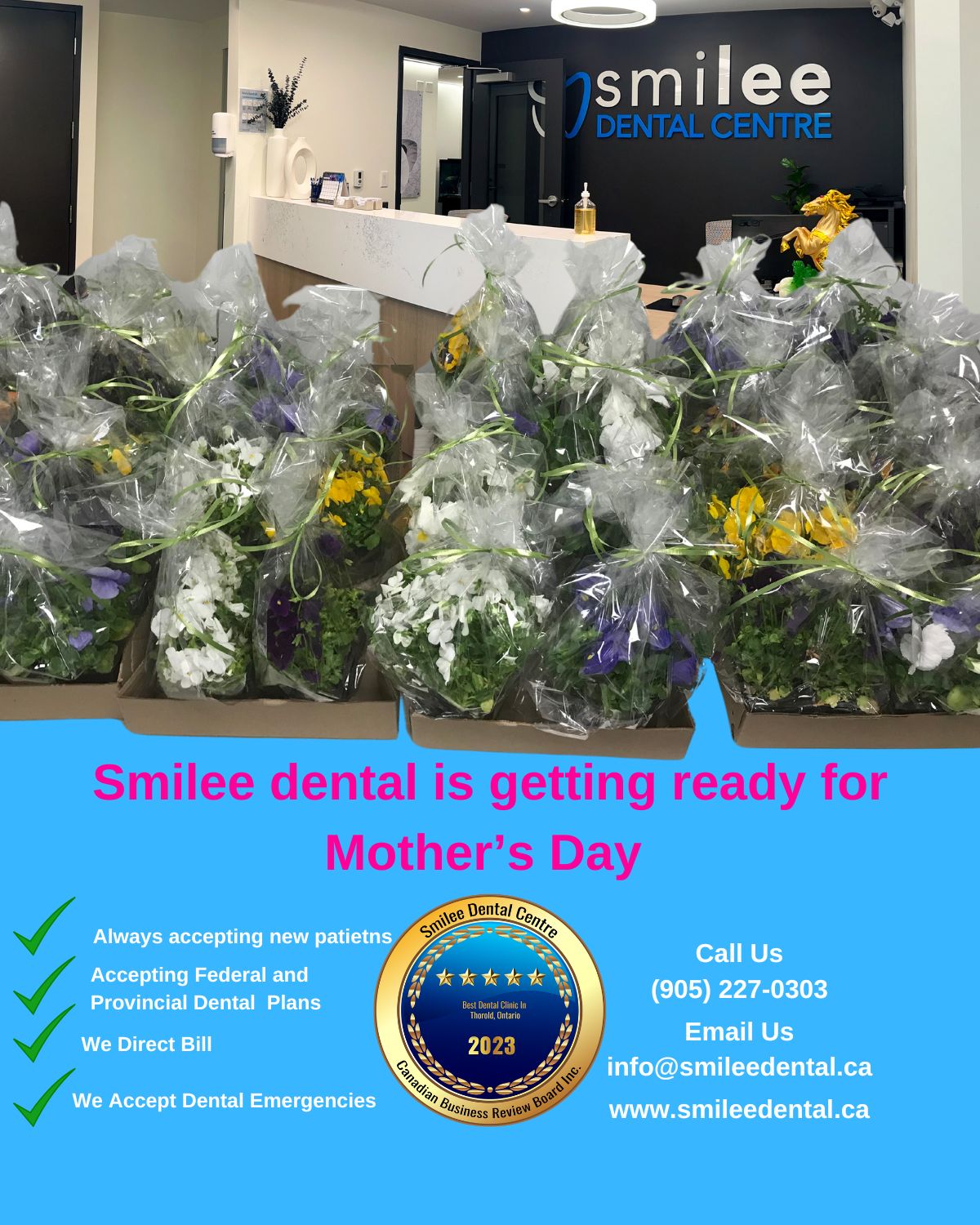 Smilee Dental Centre 52 Front St S, Thorold Ontario L2V 1W9