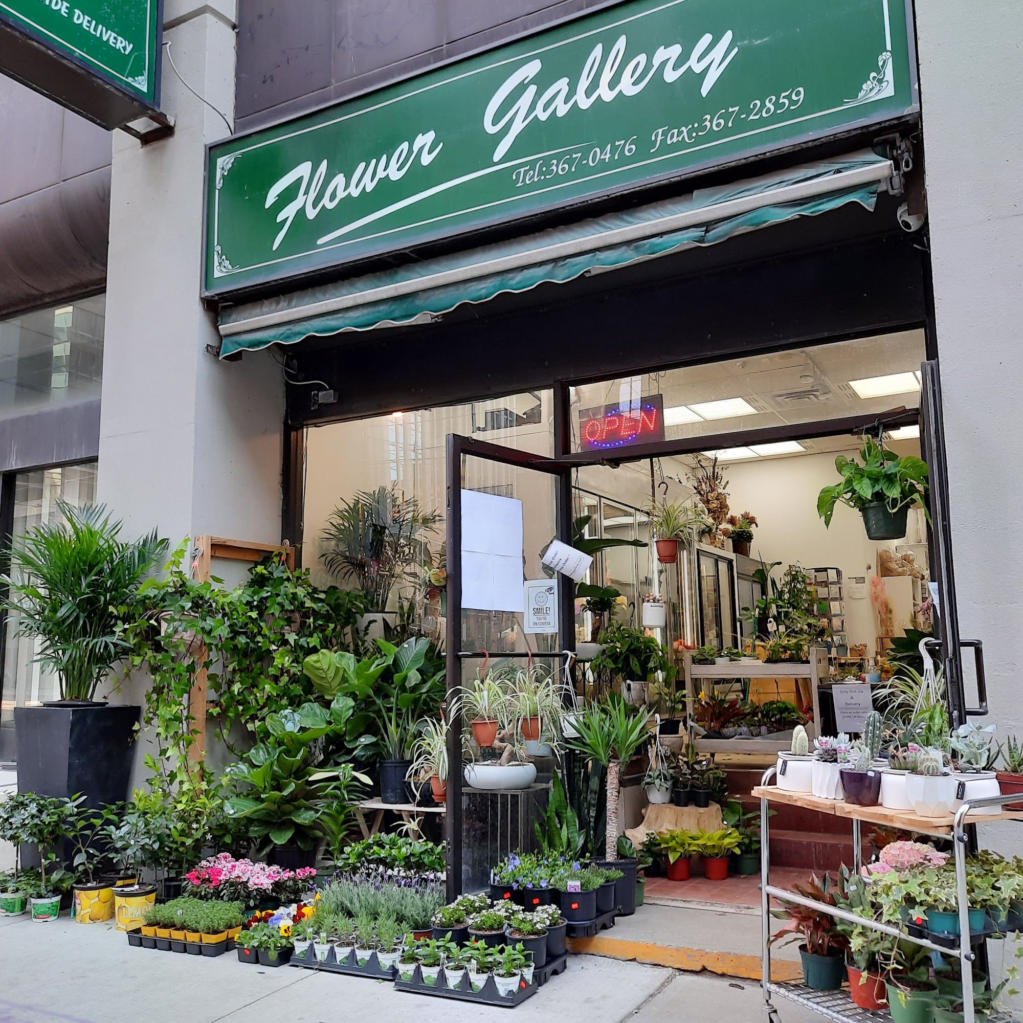 Toronto Flower Gallery