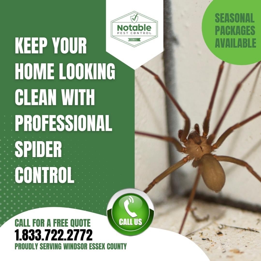 Photo credit: yellowpages.ca