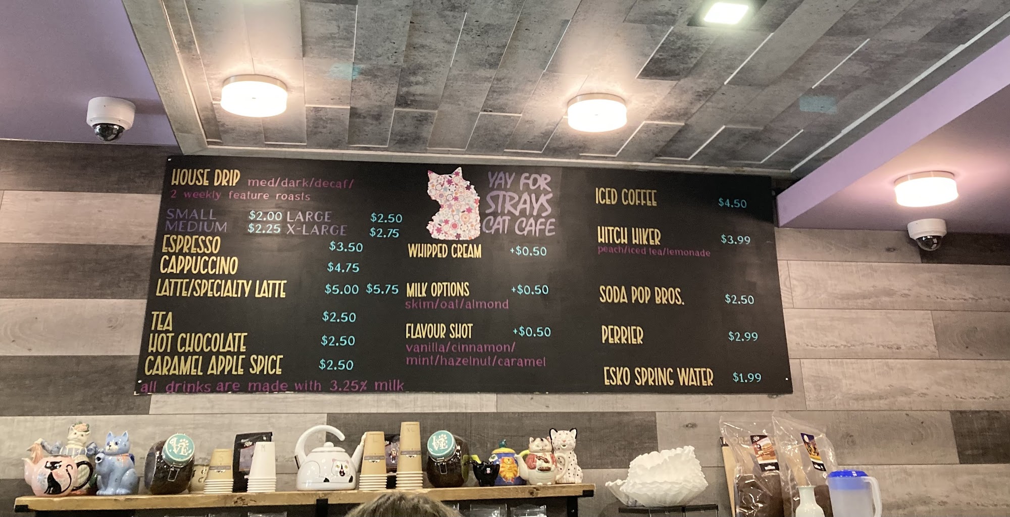 Yay For Strays - Cat Cafe Menu