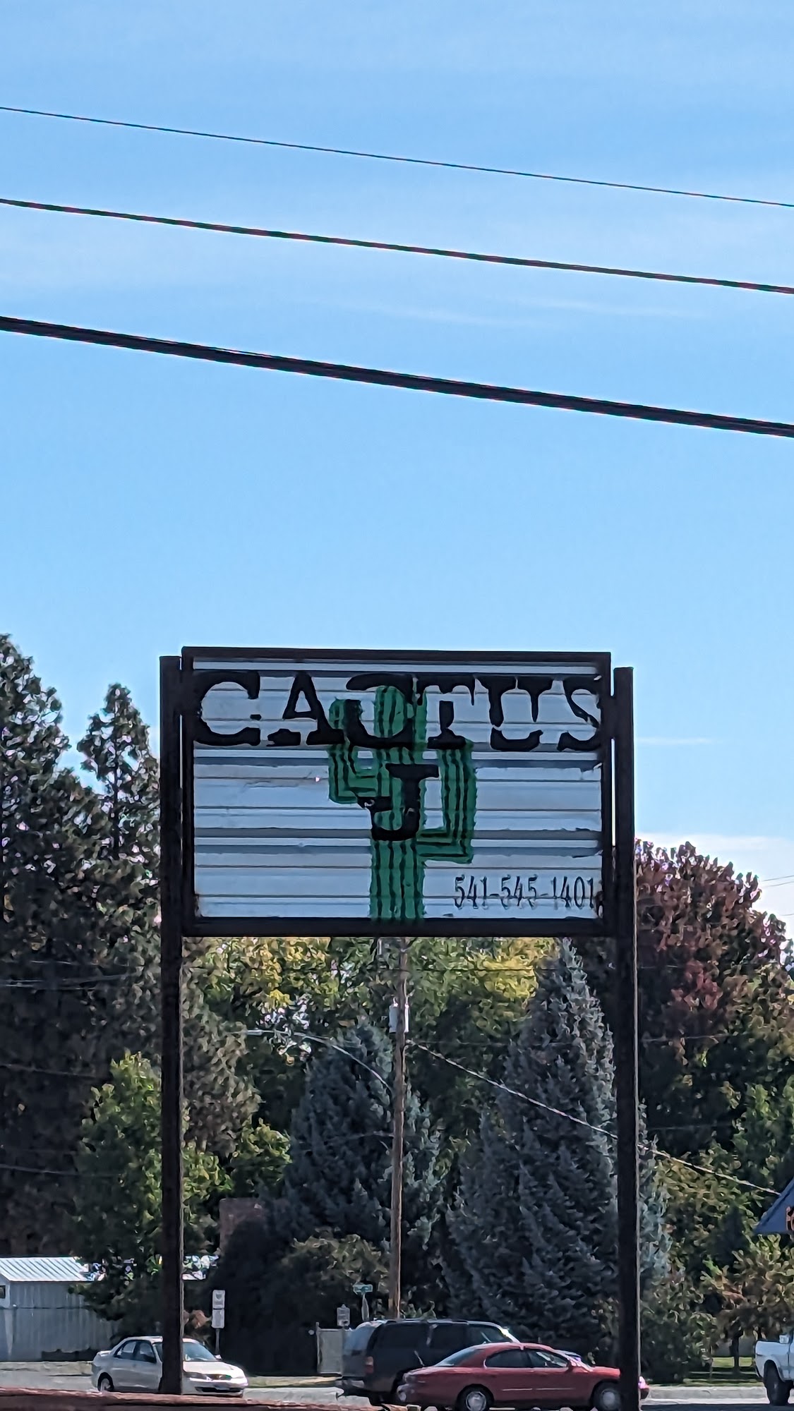Cactus J