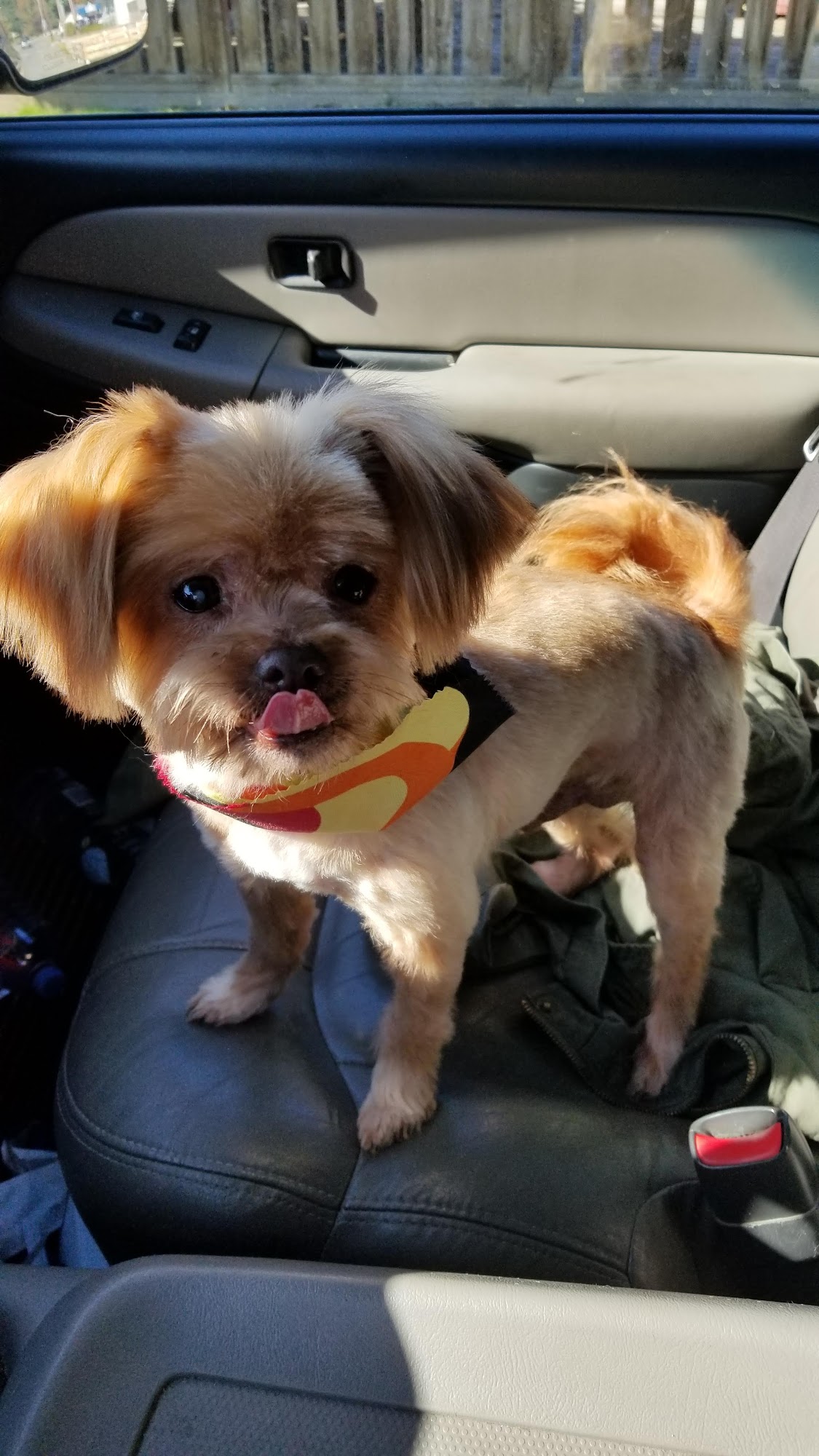 Puppy Love Grooming-Supplies Coos Bay