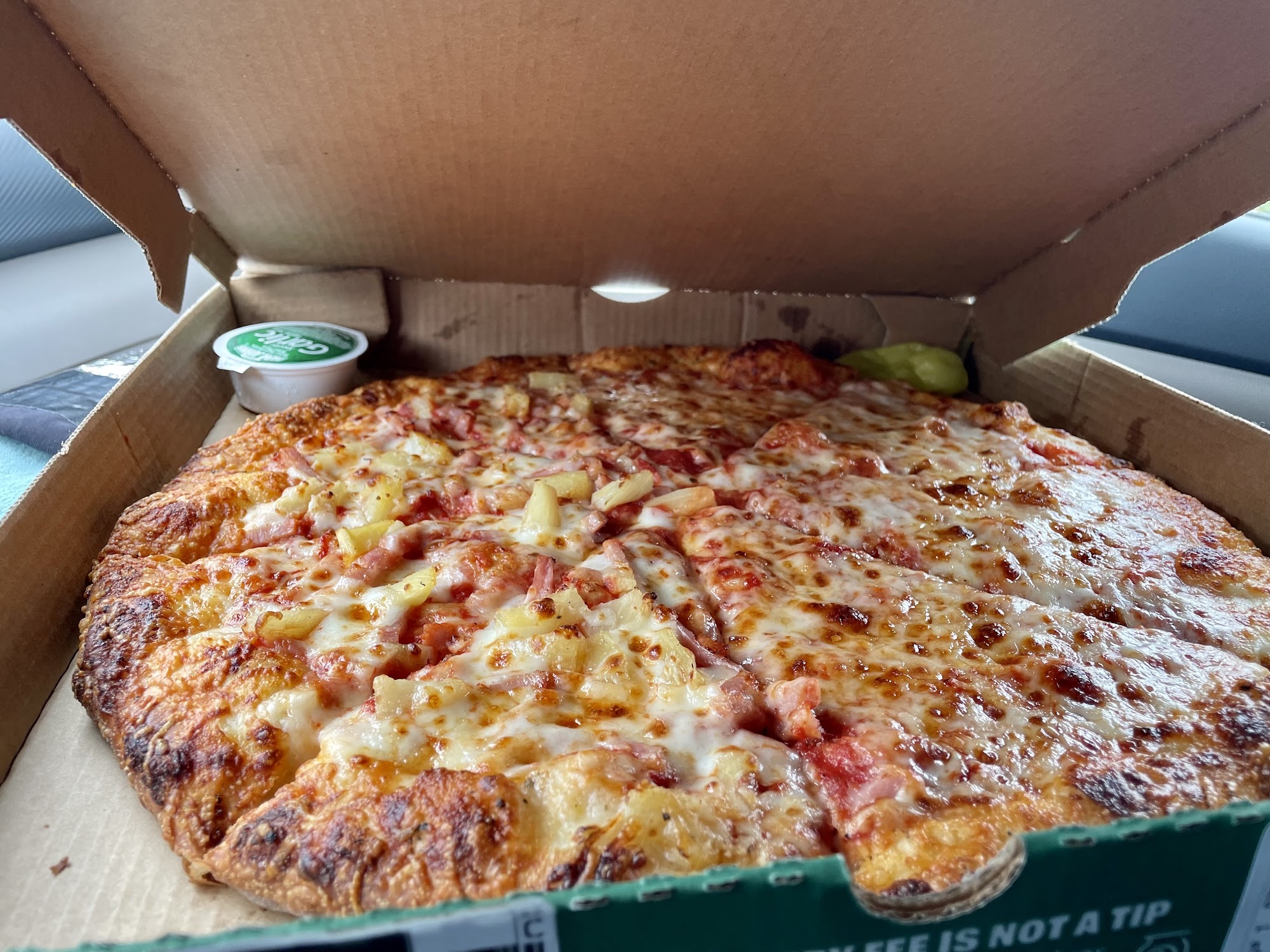 Papa Johns Pizza