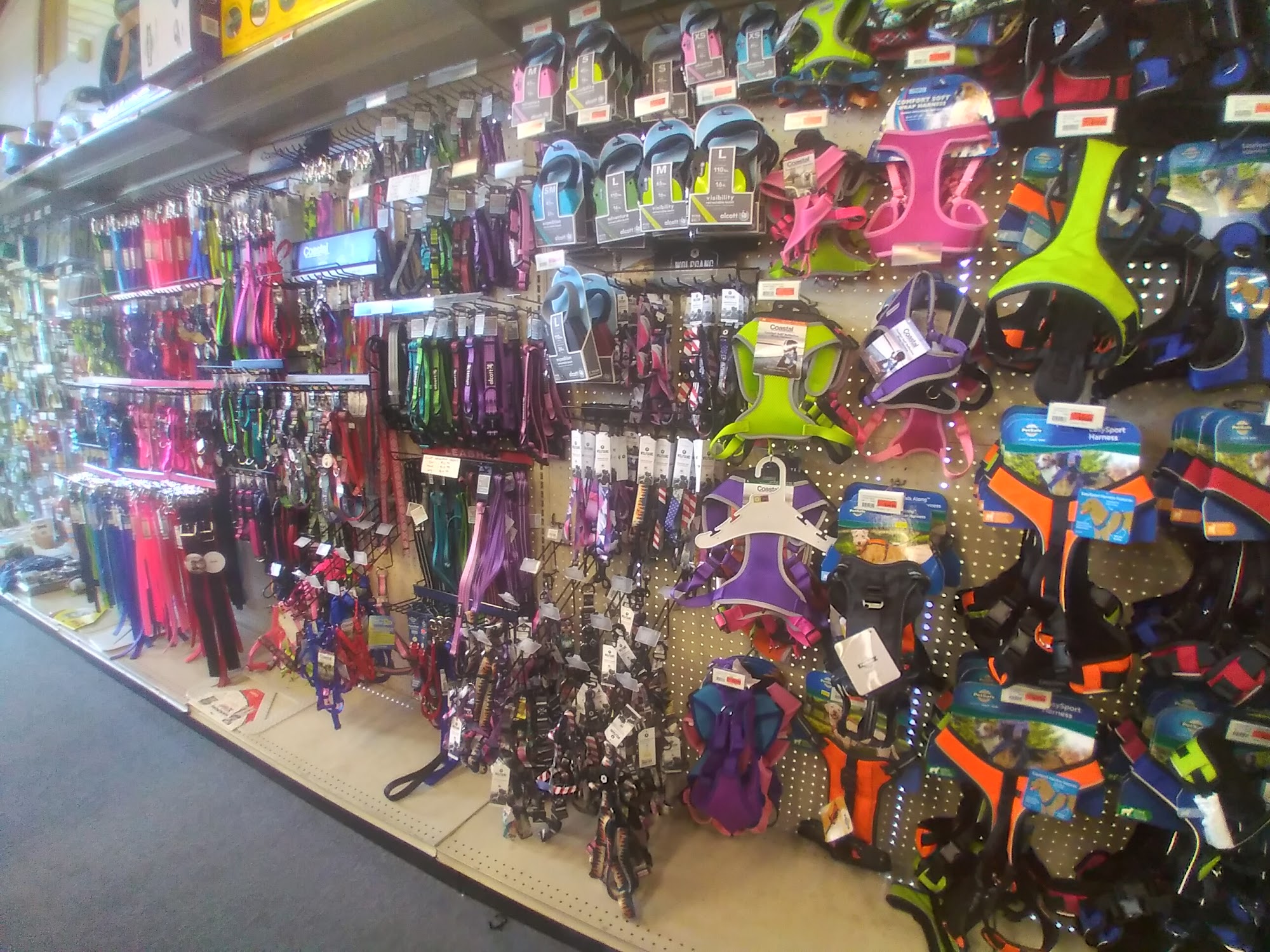 Mini Pet Mart Eugene