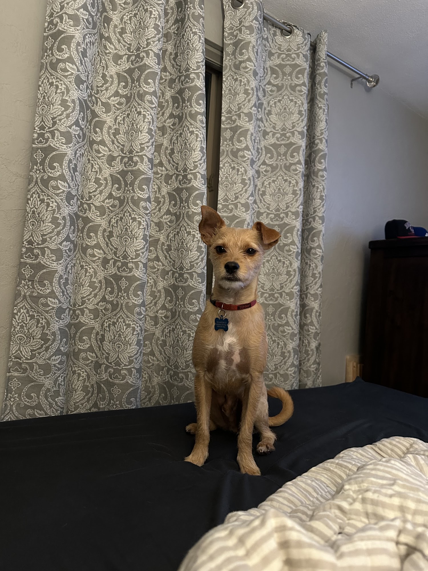 West Eugene Kennels Eugene