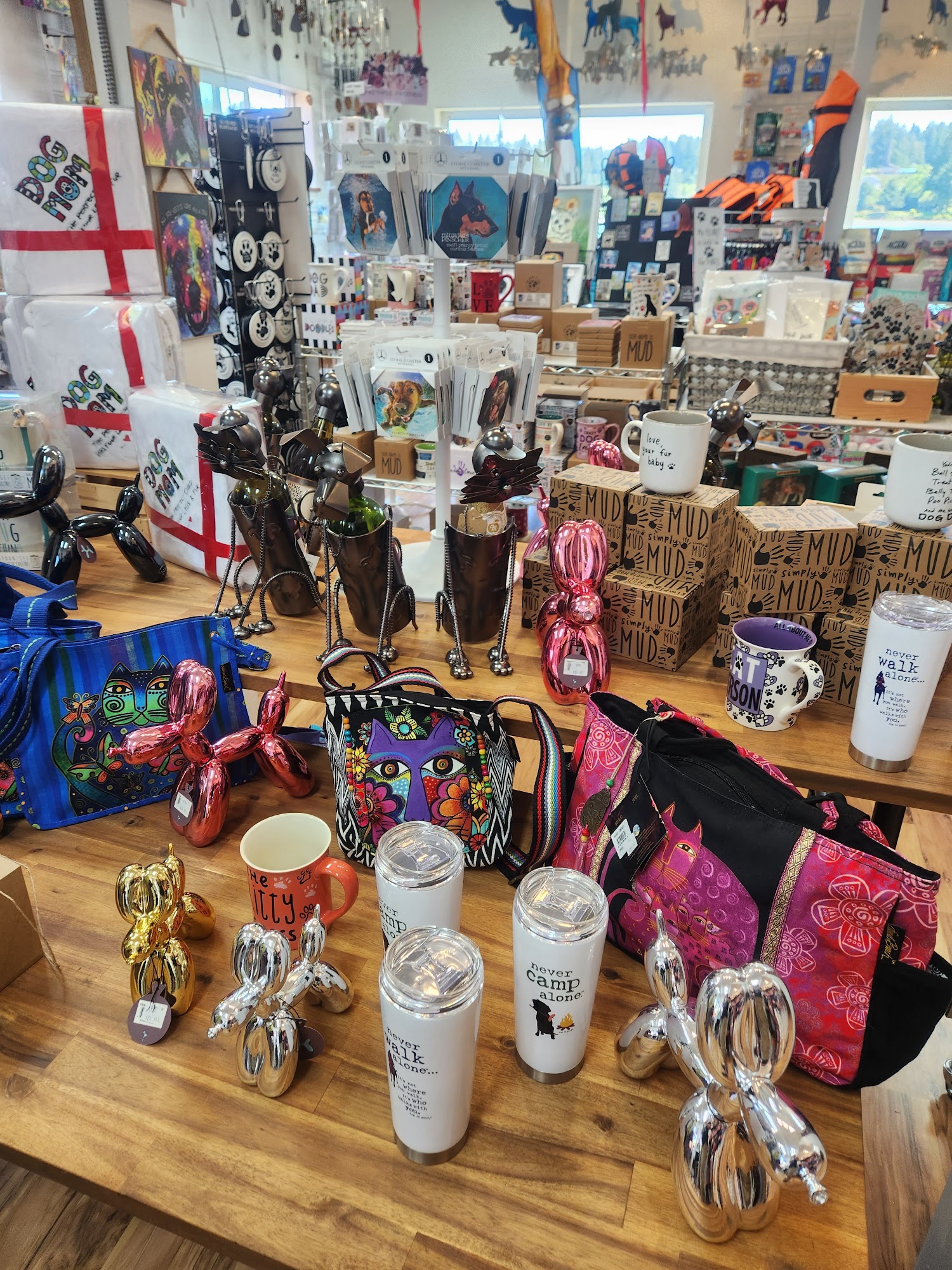 Raining Cats & Dogs Florence