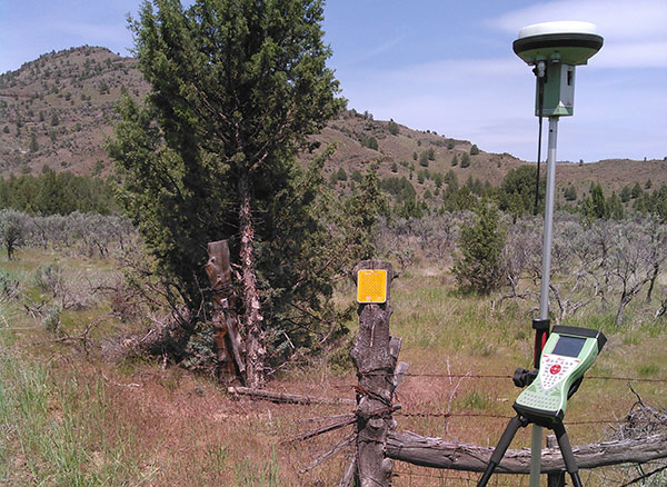 Benchmark Land Surveying