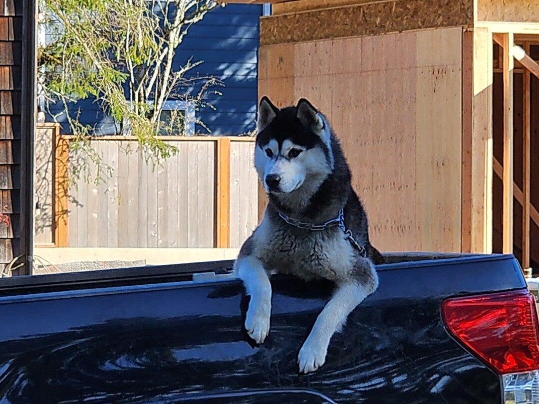 Photo credit: nextdoor