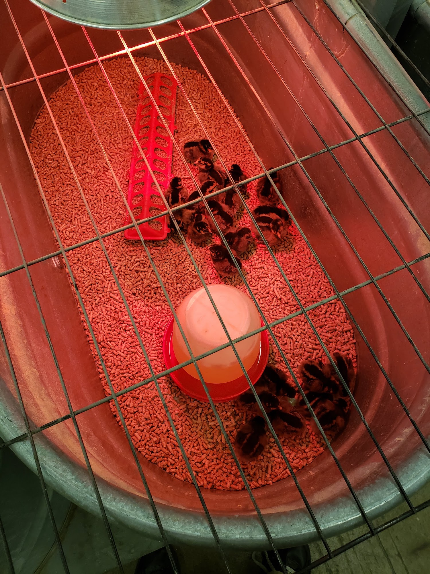 Wilco Farm Store McMinnville