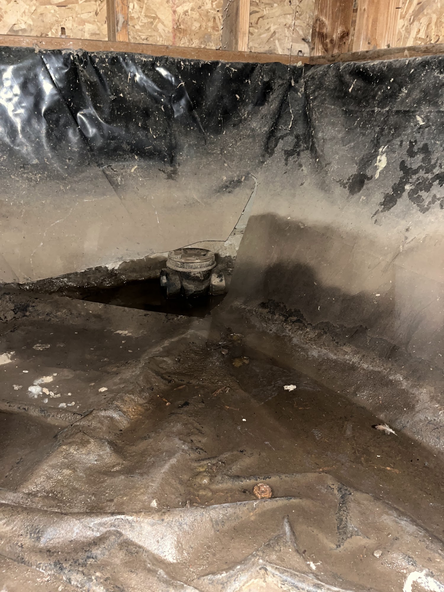 High Five Pest Control