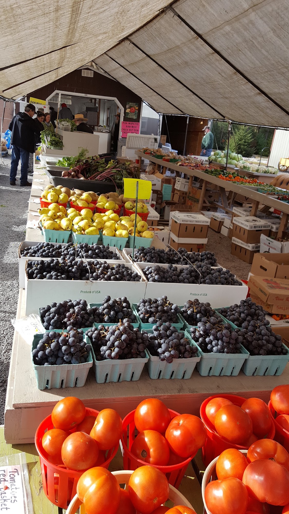 POCONO FARMERS MARKET Blakeslee PA Hours, Directions, Reviews