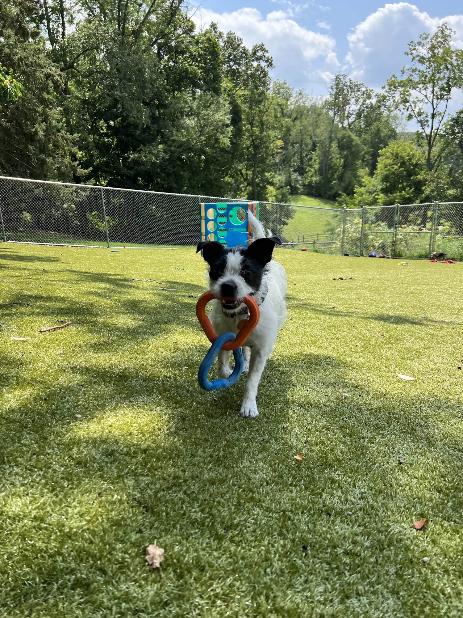 Guten Morgen Kennels Canonsburg