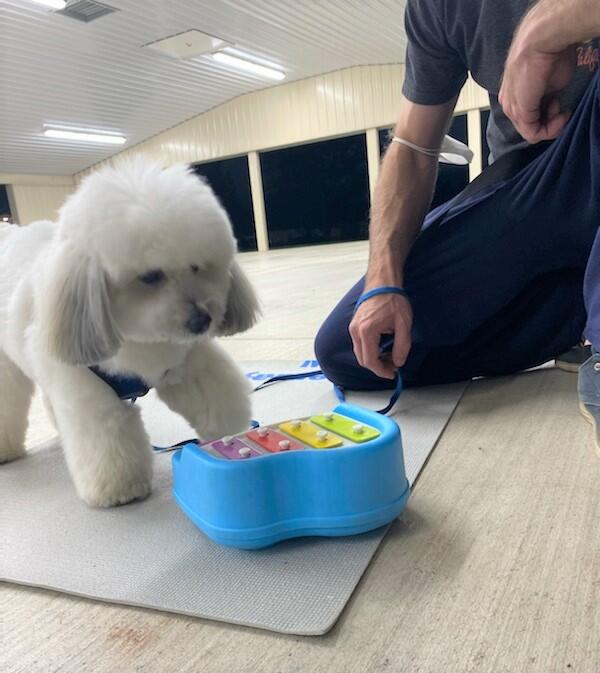 Photo credit: nextdoor