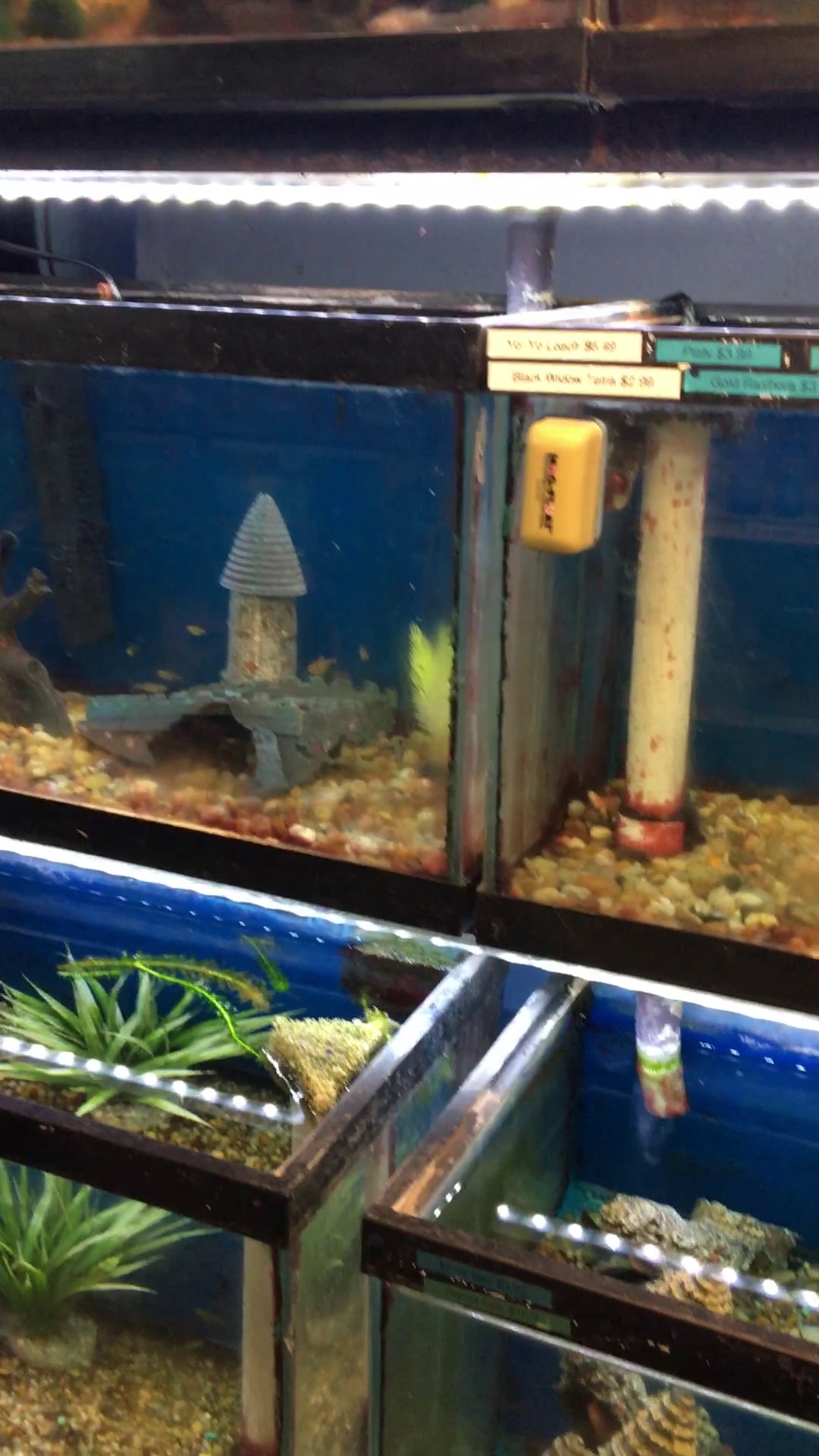 Osbaldeston's Pets-The World Doylestown