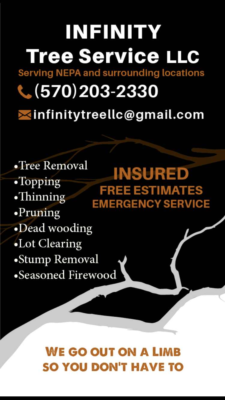 Infinity Tree Service LLC 132 Covey Ln, Drums Pennsylvania 18222