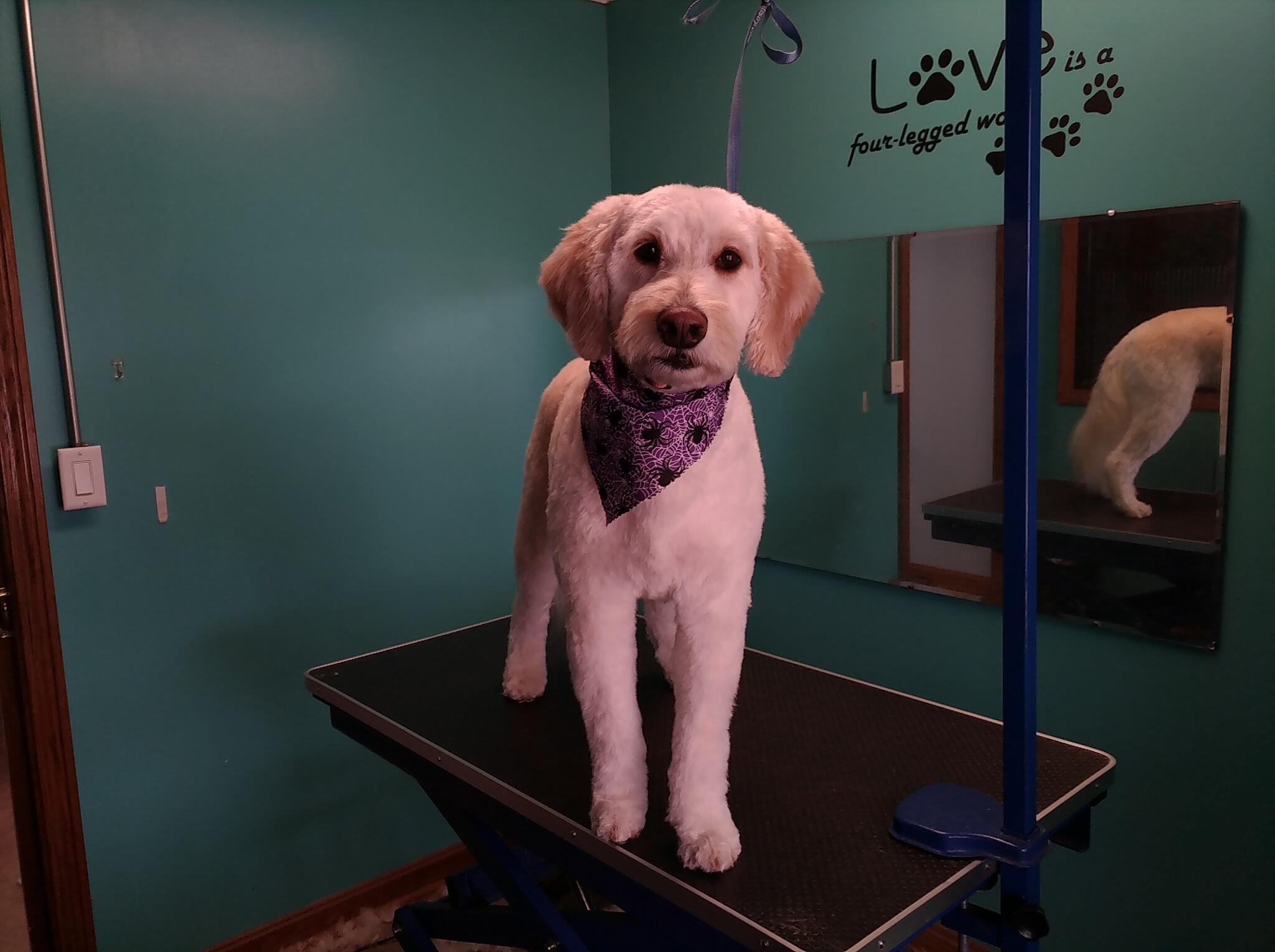 Photo credit: nextdoor