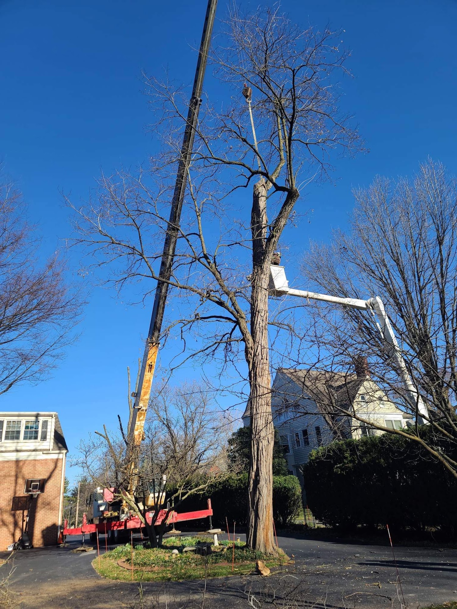 Barnhart & Son Tree Services 3575 Lakeview Dr, Fort Loudon Pennsylvania 17224