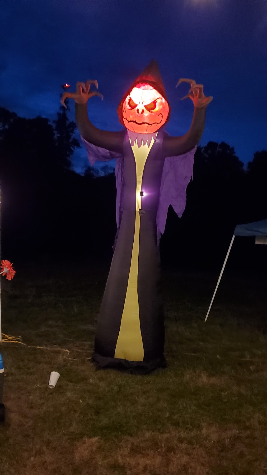 White Mills Pet Shop Hawley