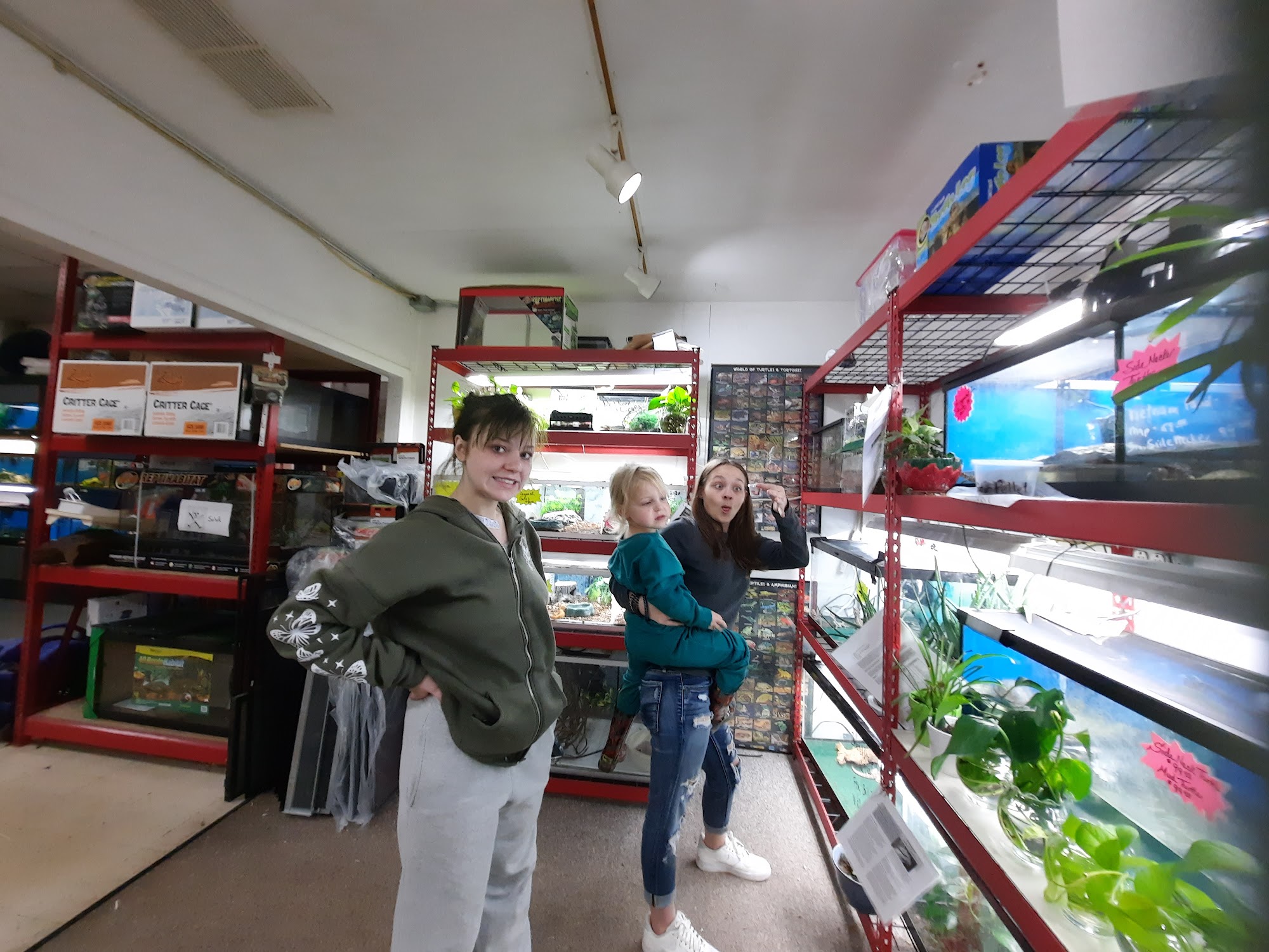 Gittler's Aquarium & Aviary Johnstown