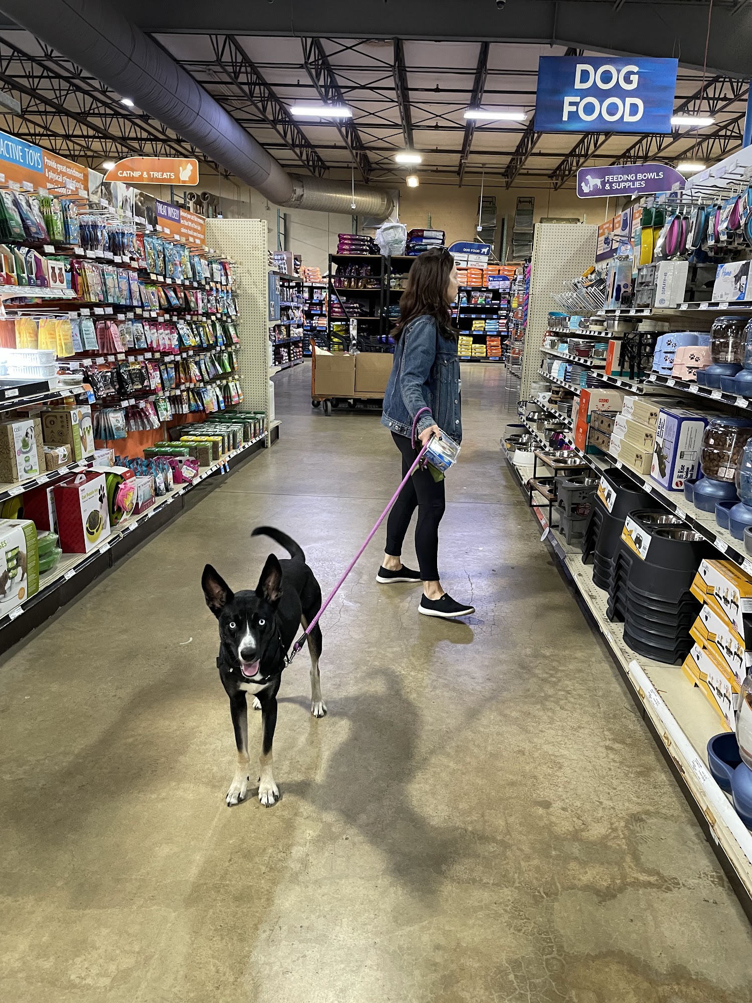 That Fish Place - That Pet Place Lancaster