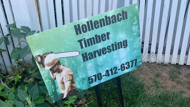 Hollenbach Timber Harvesting