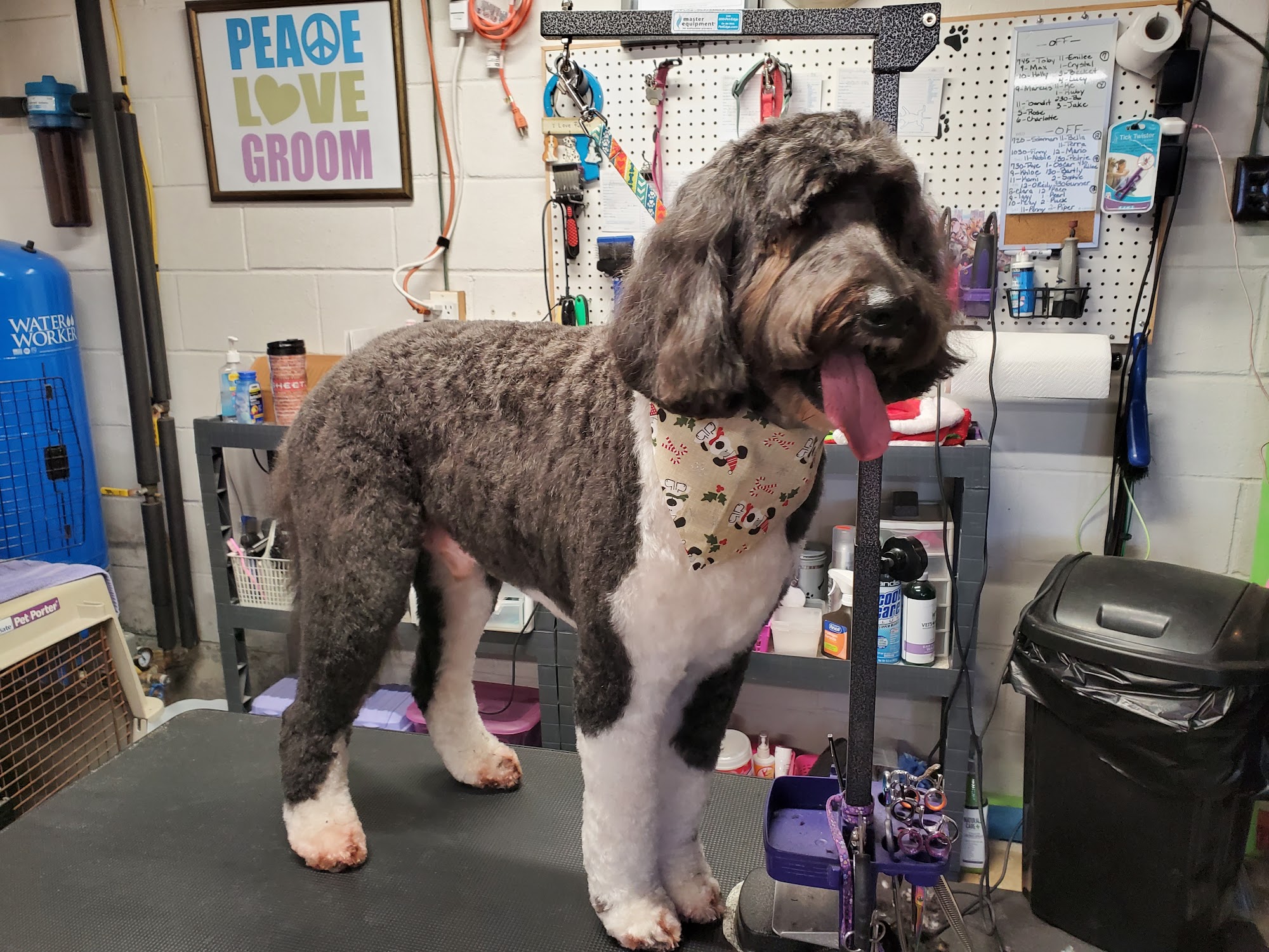 Aunt Tina's Grr'room Room Meadville