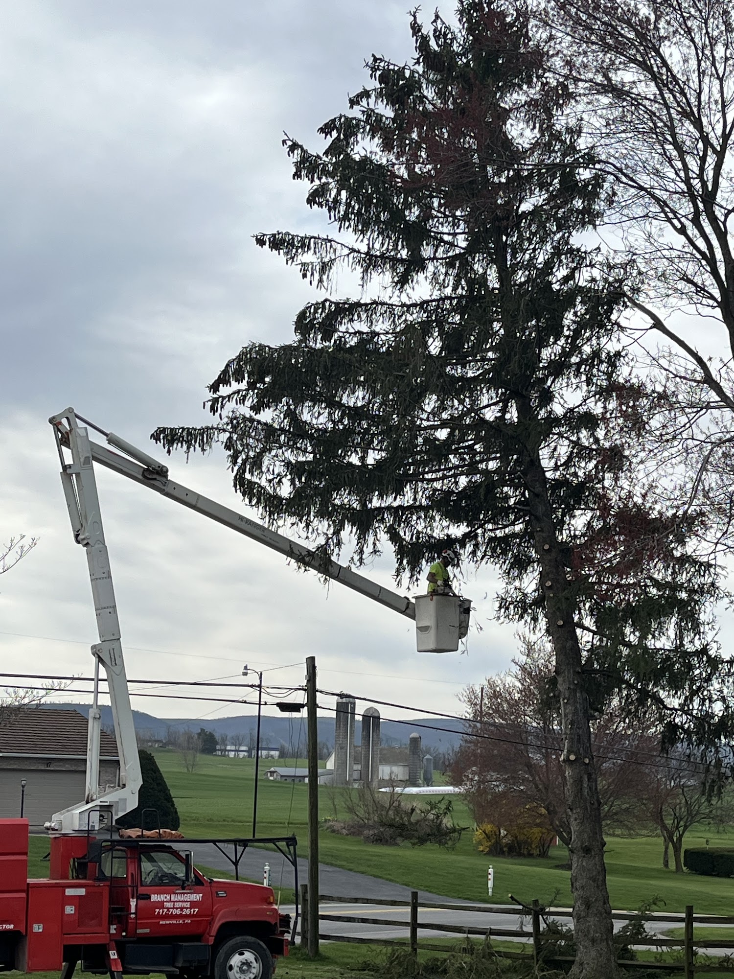 Branch Management Tree Service 42 Church Rd, Newville Pennsylvania 17241