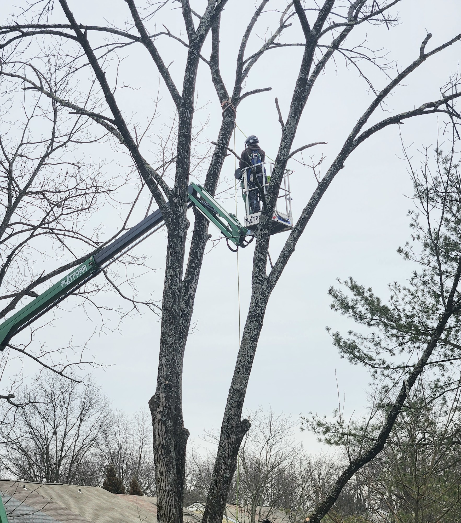 ATS Tree Services, LLC