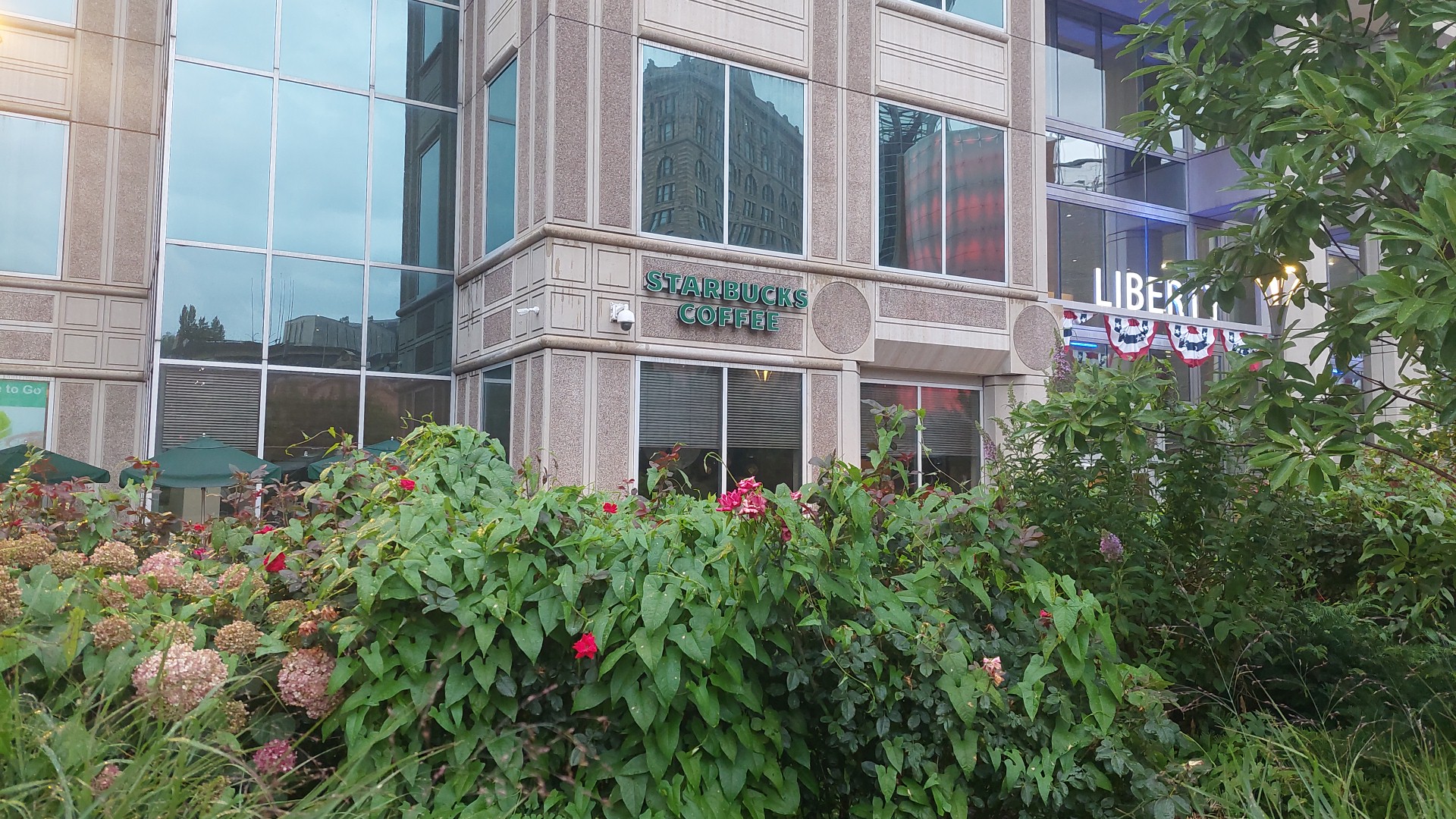 Starbucks
