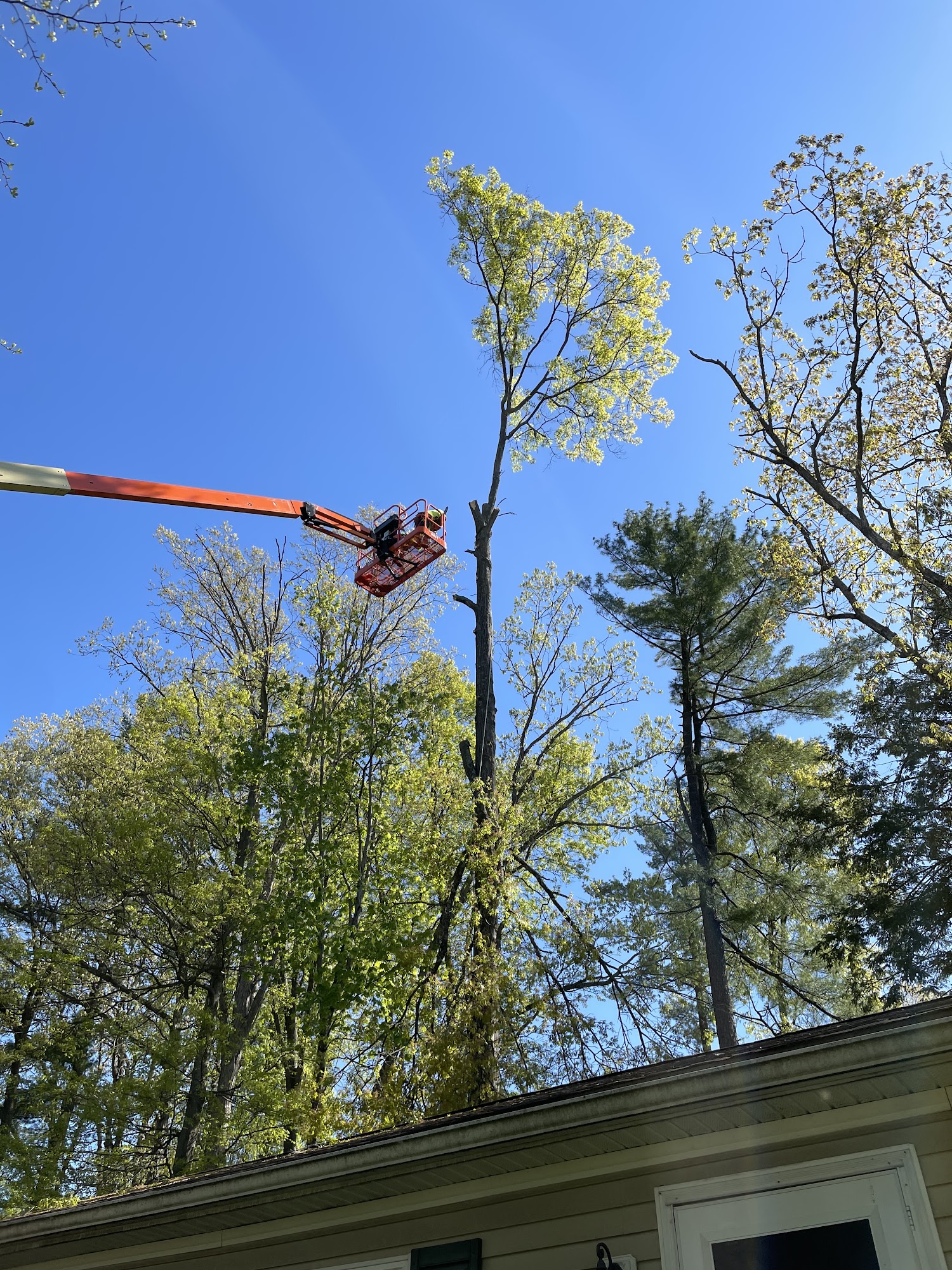 Aerial Attack Tree Service LLC 72 Black Diamond Rd, Pottsville Pennsylvania 17901