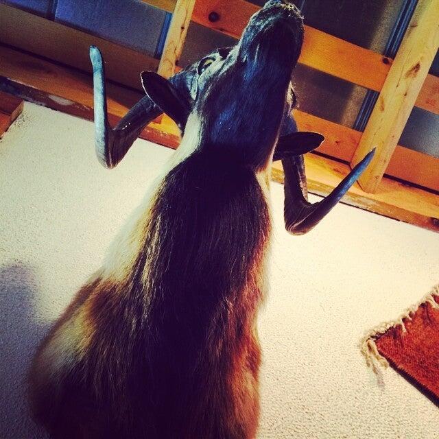 Photo credit: nextdoor