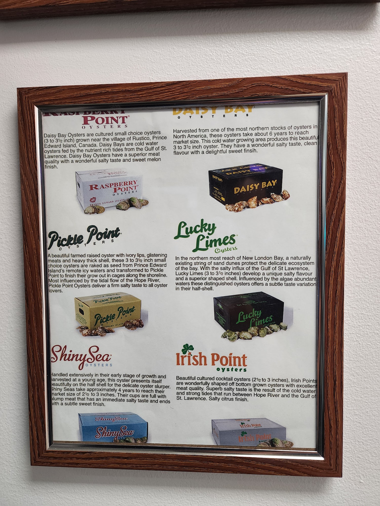 Huîtres en Mouvement - Traiteur Fruit de Mer Menu