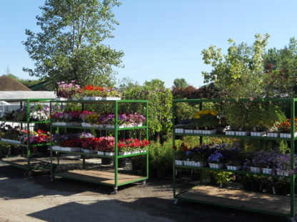 A Mucci Pépinière Inc