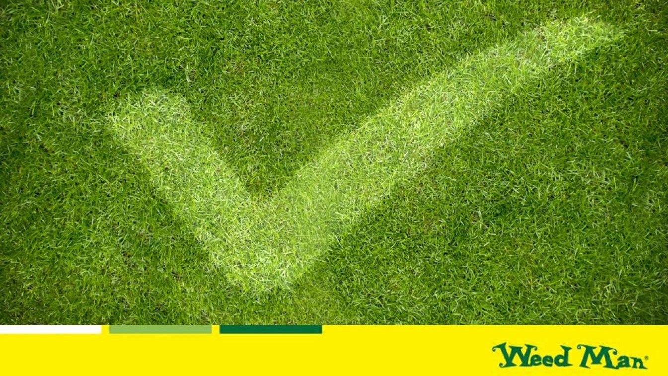 Weed Man Abitibi-Témiscamingue 179 Bd Industriel, Rouyn-Noranda Quebec J9X 6P2