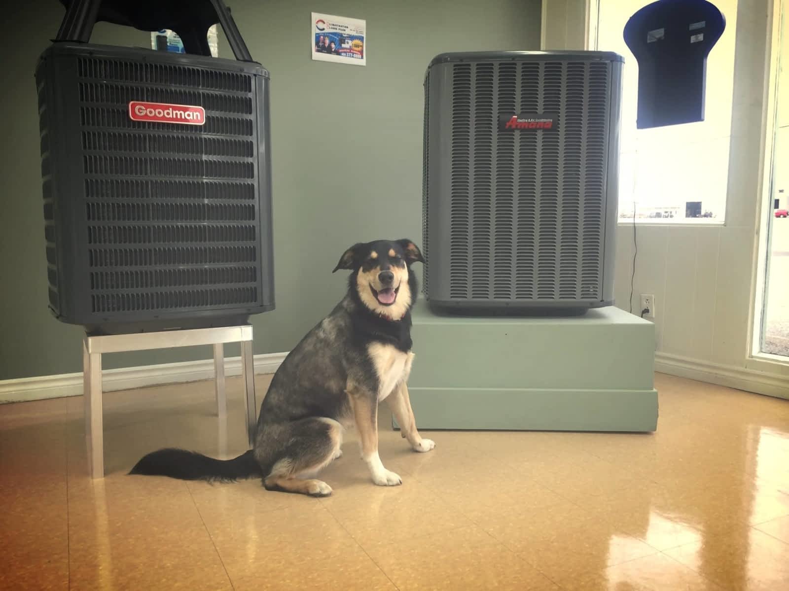 Photo credit: yellowpages.ca