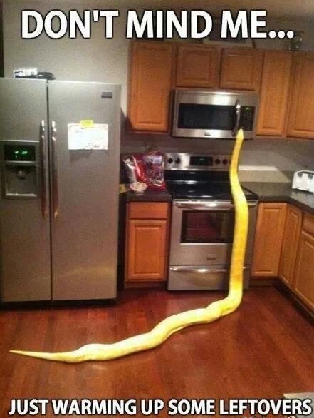 Same Day Services Co Inc