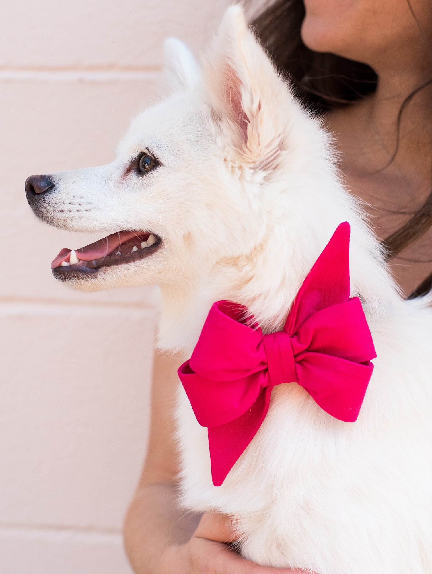 Crew LaLa Charleston