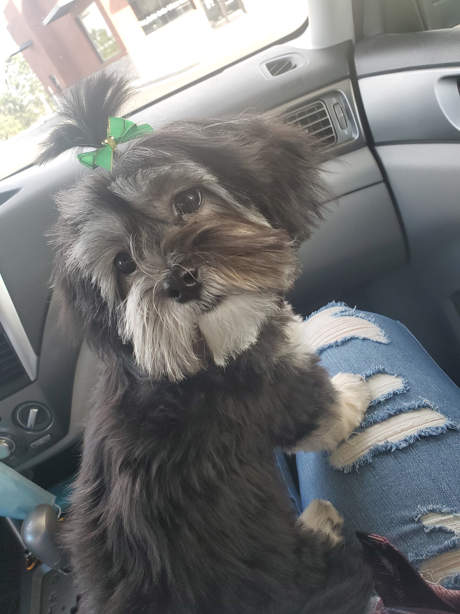 Barkmart Graniteville