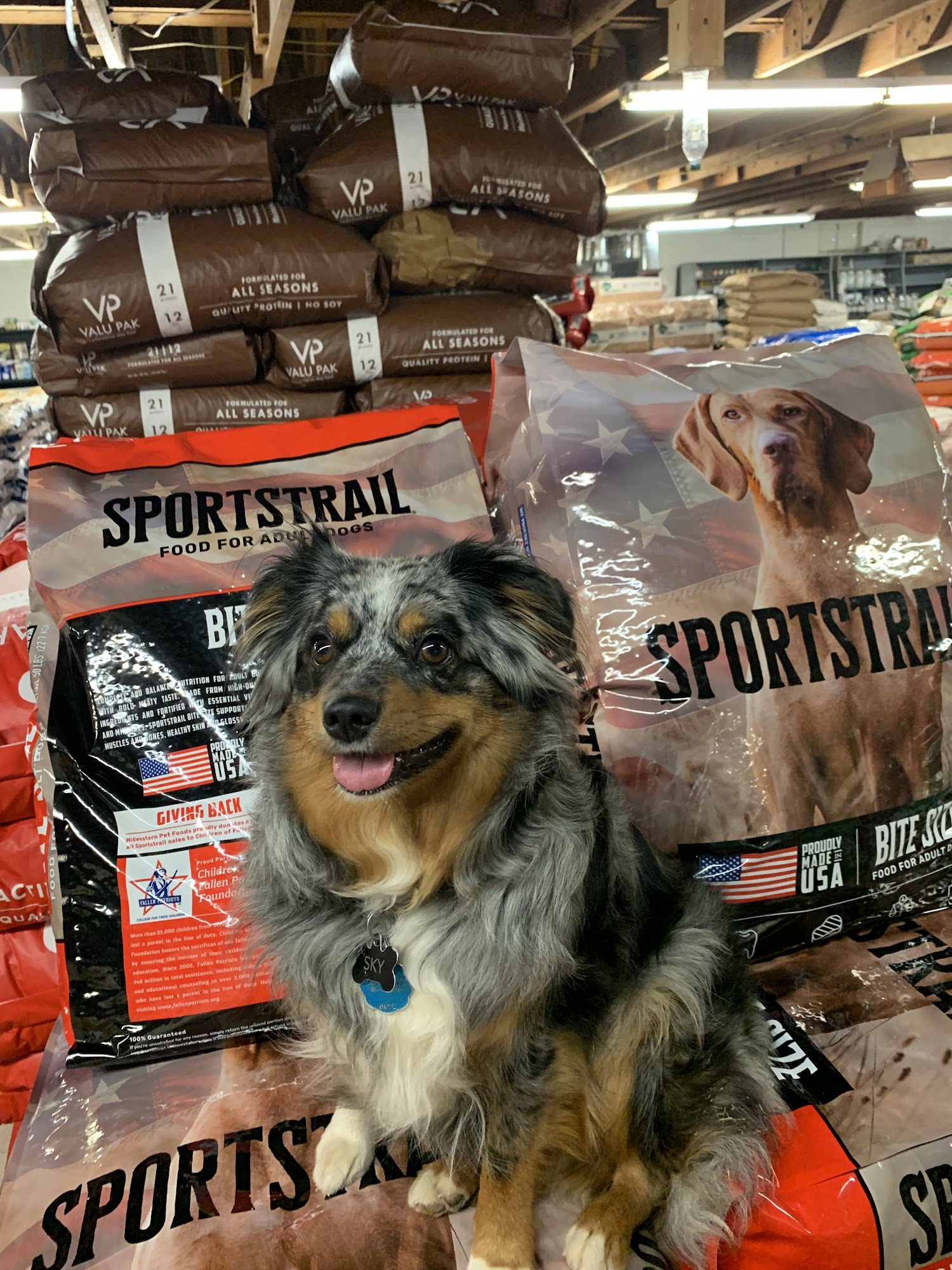 Blue Ridge Feed And Seed Greer