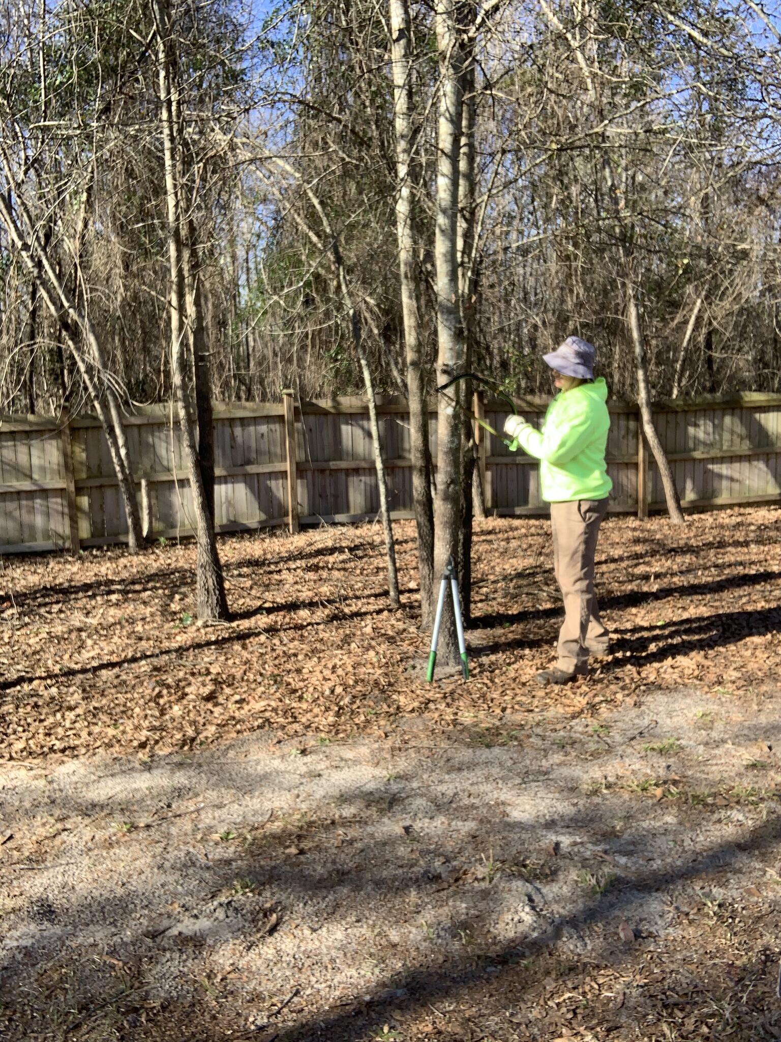 Photo credit: nextdoor