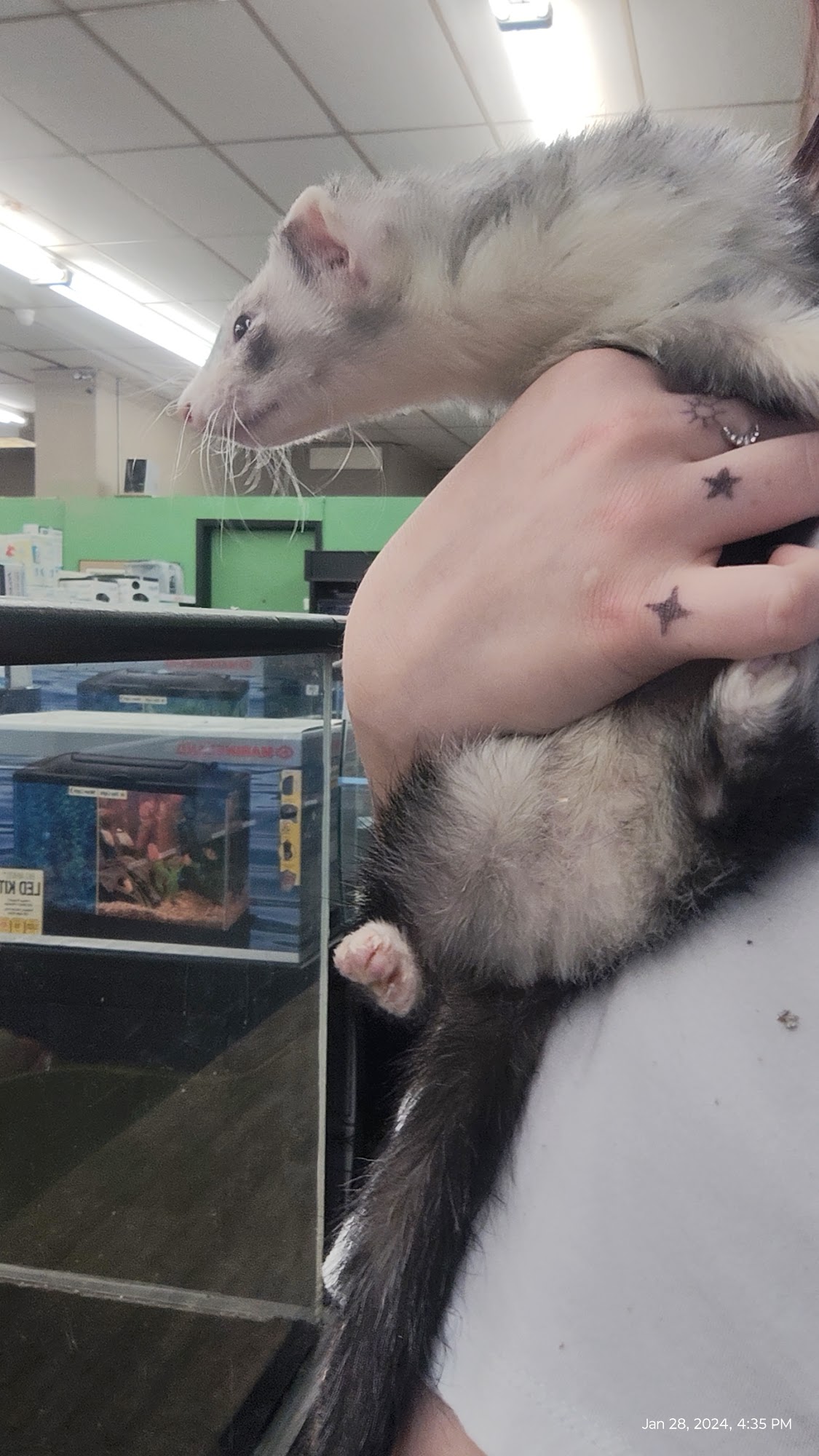 Ed's Pet World Mitchell