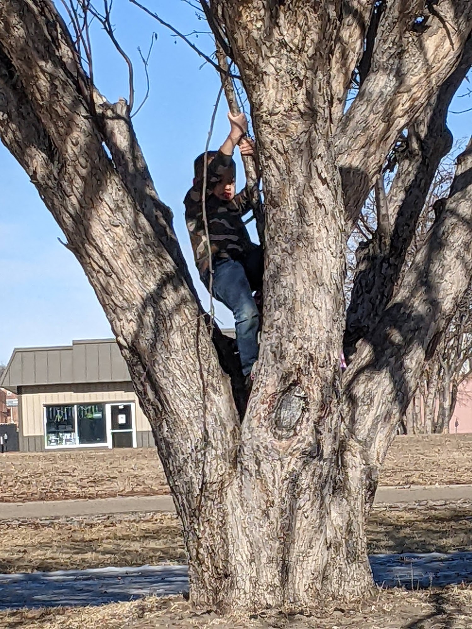Animal Clinic of Pierre Pierre