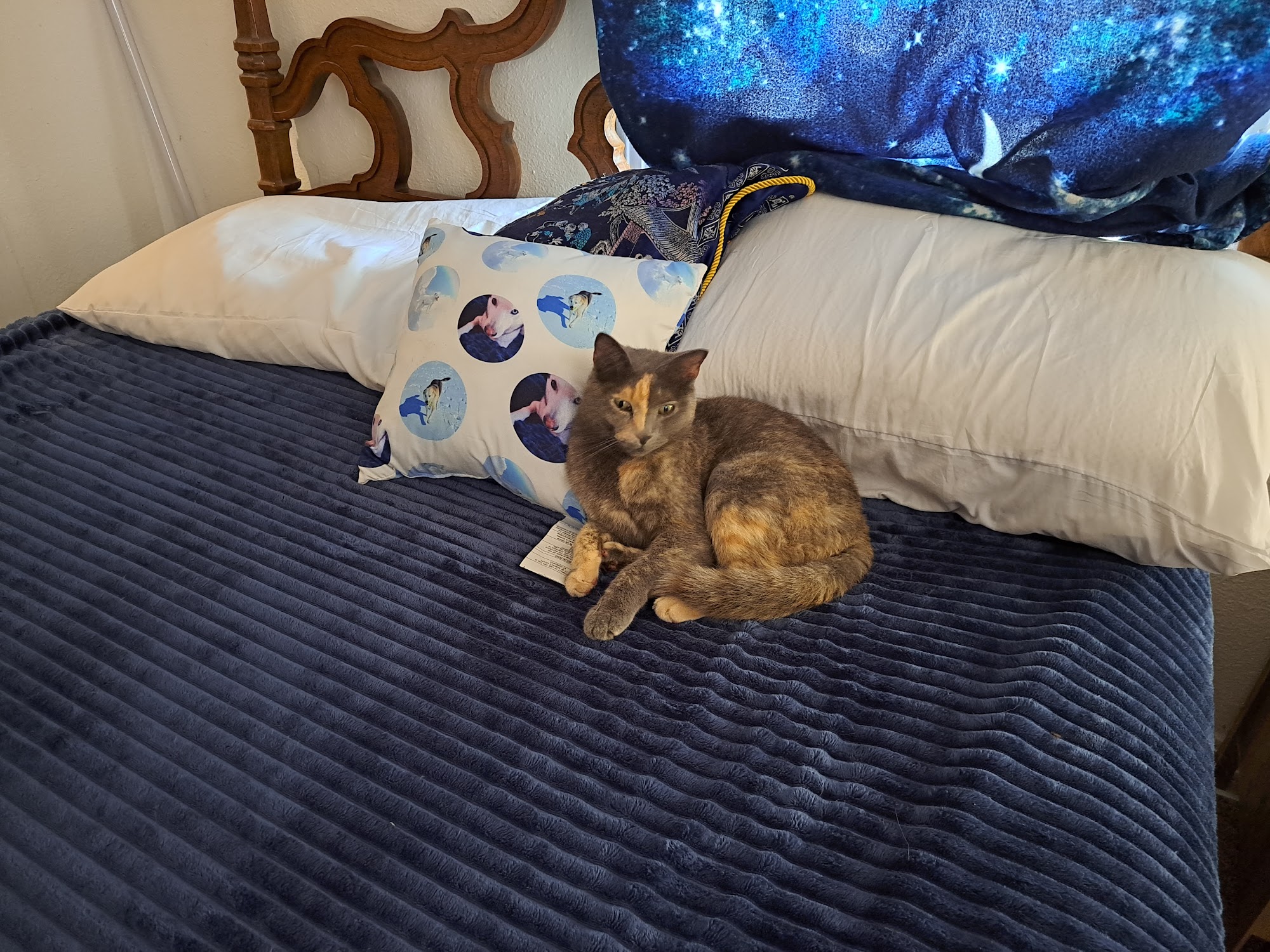 Pet Pantry Rapid City
