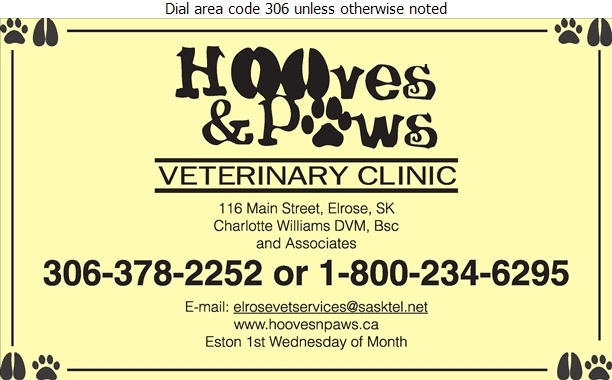 Hooves & Paws Veterinary Clinic 116 Main St, Elrose Saskatchewan S0L 0Z0